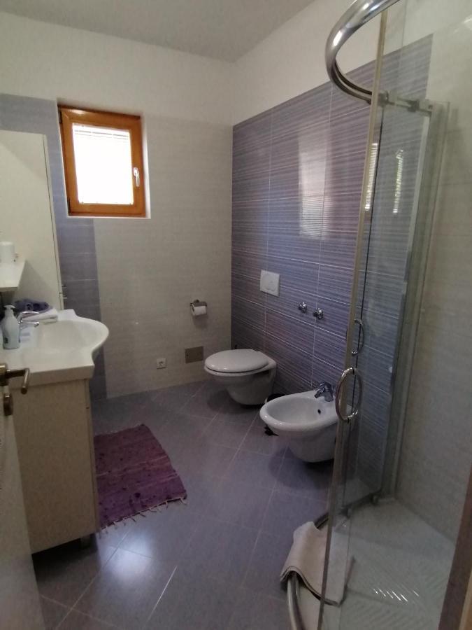 Lily Apartments Punta Skala Petrčane Extérieur photo